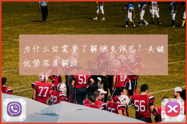 为什么你需要了解伊克佩巴？关键优势深度解读