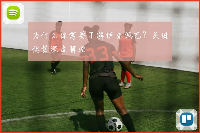 为什么你需要了解伊克佩巴？关键优势深度解读