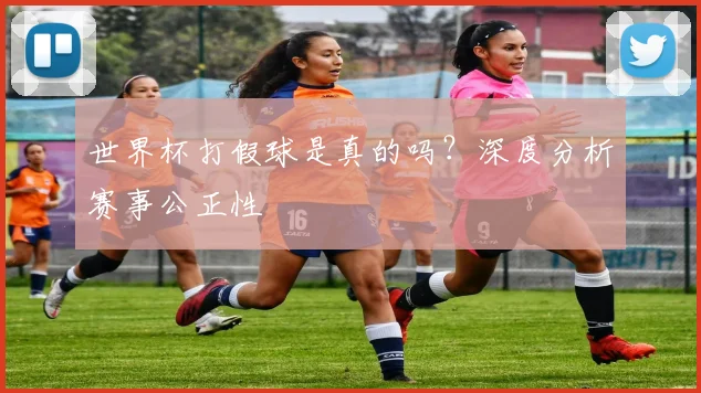 世界杯打假球是真的吗？深度分析赛事公正性