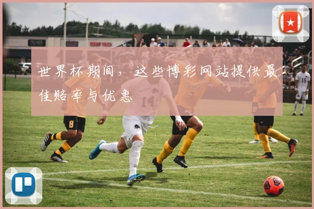 世界杯期间，这些博彩网站提供最佳赔率与优惠